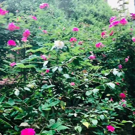 Διαμέρισμα Casa Di Annusca Φλωρεντία
