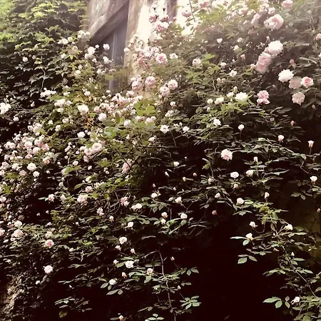 Lejlighed Casa Di Annusca Firenze